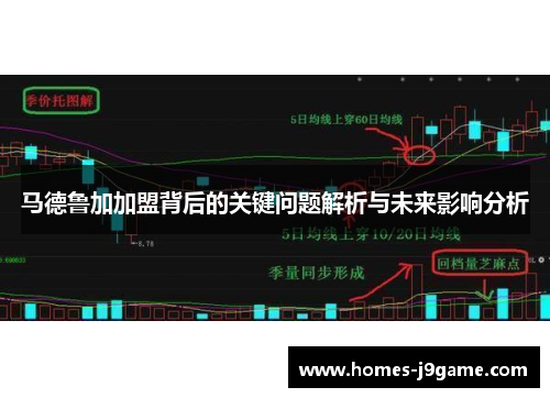 马德鲁加加盟背后的关键问题解析与未来影响分析 马德鲁加加盟背后的关键问题解析与未来影响分析