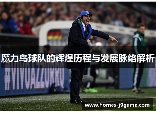 魔力鸟球队的辉煌历程与发展脉络解析
